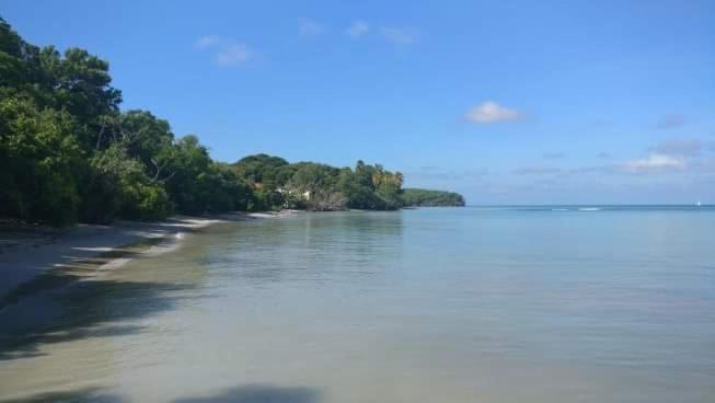 My Tiny Caritan- Petit Coin De Paradis- Bungalow De Vacances- Jardin, Plage, Piscine Attenante Сент-Ан Екстериор снимка